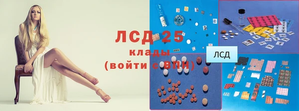 крисы Баксан