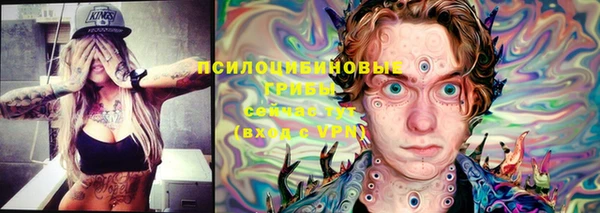MDMA Осинники