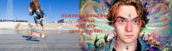 крисы Баксан