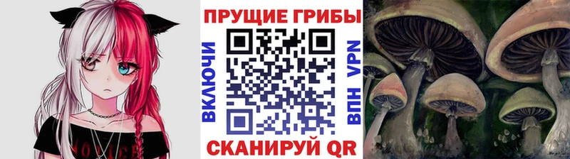 купить закладку  Боготол  Галлюциногенные грибы ЛСД 